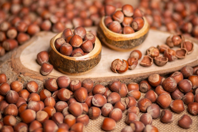 FINDIK FİYATLARINDA UMUTLAR TÜKENİYOR MU