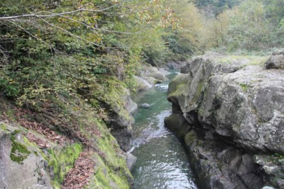 ORDU'NUN DOĞAL GÜZELLİĞİ: ÇAMAŞ KANYONU