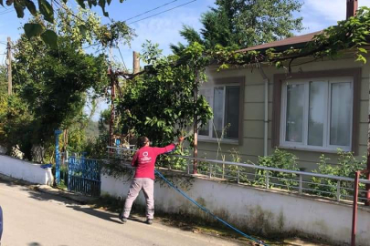 YALIKÖY'DE İLAÇLAMA BAŞLADI