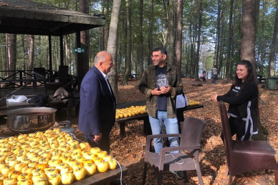 DALINDAN KOPARILAN HER HURMA PEKMEZE DÖNÜŞÜYOR