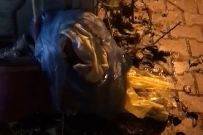 ÇÖPTEN YENİ DOĞMUŞ BEBEK ÇIKTI!