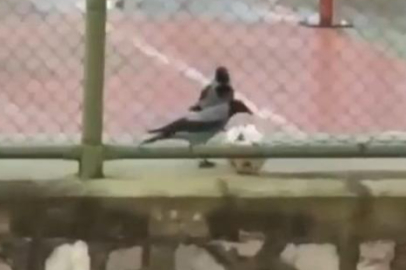 ORDU’DA KARGALARDAN FUTBOL ŞOV!