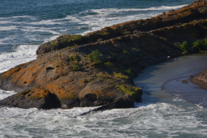 'TİMSAH ADASI' GÖRENLERİ ŞAŞIRTIYOR