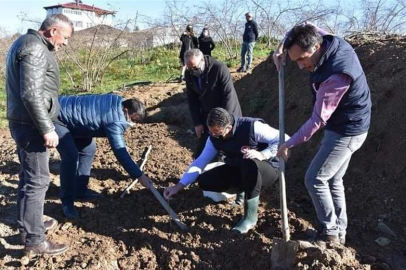 ORDU’DA BAHÇELER YENİLENİYOR