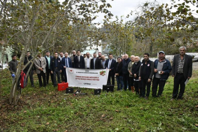 KOKARCAYA KARŞI 33 BİN HANE İLAÇLANDI