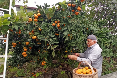 BU HABER SİZİ ŞAŞIRTMASIN