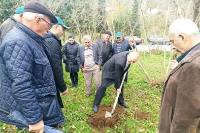 ÜRETİCİLERE FINDIKTA VERİMLİLİK BİLGİLENDİRMESİ