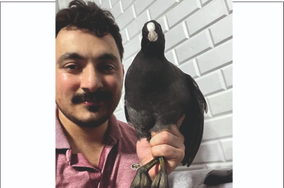 EVE GELEN SAKARMEKE KUŞU VATANDAŞI ŞAŞIRTTI