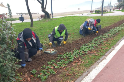 ÇİÇEKLER TOPRAKLA BULUŞUYOR