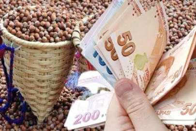 FINDIĞA 15 LİRA DESTEK VERİLECEK