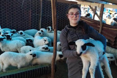 TARIM VE HAYVANCILIK PROJELERİ ORDU’YA DEĞER KATTI