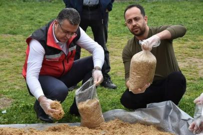 ORDU’DA MANTAR YETİŞTİRİCİLİĞİ YAYGINLAŞIYOR