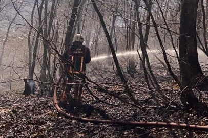 ORDU’DA ORMAN YANGINI PANİĞİ!