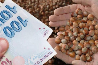 DESTEKLEME ÖDEMELERİNE BAŞLANILDI