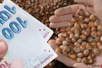 DESTEKLEME ÖDEMELERİ HESAPLARA YATIRILIYOR