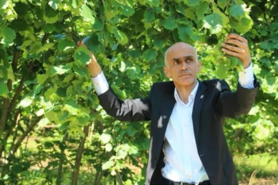 “FINDIKTA REKOLTE KAYBI 150 BİN TONU BULABİLİR”