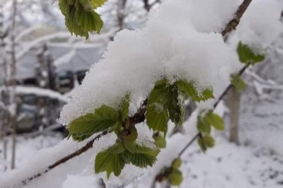 ZİRAAT ODASINDAN O İLÇEYE DON UYARISI!