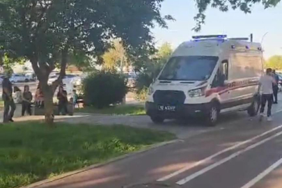 ORDU’DA SOKAK KÖPEĞİ DEHŞETİ