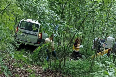 OTOMOBİL FINDIK BAHÇESİNE UÇTU