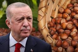 FINDIKTA GÖZLER CUMHURBAŞKANI ERDOĞAN’A ÇEVRİLDİ