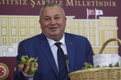 MİLLETVEKİLİ ENGİNYURT’TAN FINDIK ÇAĞRISI!