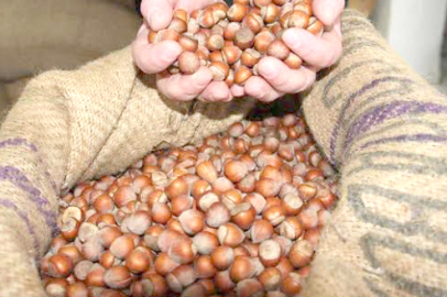 FINDIK YÜKSELDİ, PİYASA HAREKETLENDİ