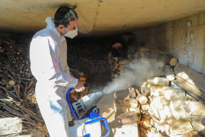 “FATSA’DA KOKARCAYA SON VERECEĞİZ”