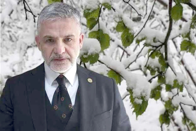 FINDIK ÜRETİCİLERİNE KRİTİK ÇAĞRI!