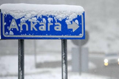 KAHVERENGİ KOKARCA BAŞKENTTE!