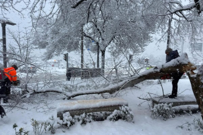 KIRILAN AĞAÇ YOLU ULAŞIMA KAPATTI