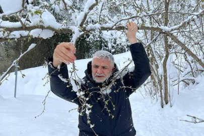 AKÇA’DAN ZİRAİ DON İNCELEMESİ