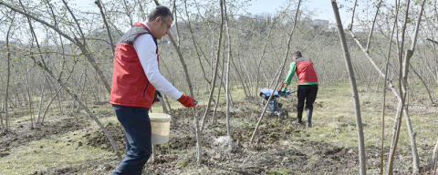 “DOĞRU GÜBRELEME İÇİN TOPRAK VE YAPRAK TAHLİLİ ŞART”