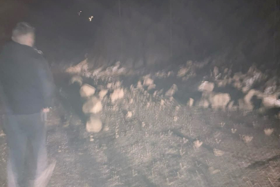 AYBASTI - FATSA KARAYOLU HEYELANDAN YİNE ULAŞIMA KAPANDI