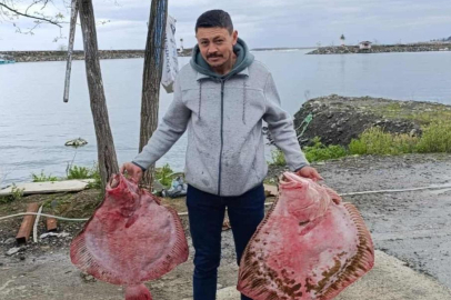 ORDU’DA DEV KALKANLAR AĞLARA TAKILDI!