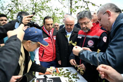BAKAN YUMAKLI FINDIKTA ZİRAİ DON ZARARINI İNCELEDİ