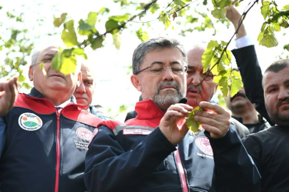 “ORDU’DA YAŞANAN HER ZARAR TÜM ÜLKEYE YANSIR”
