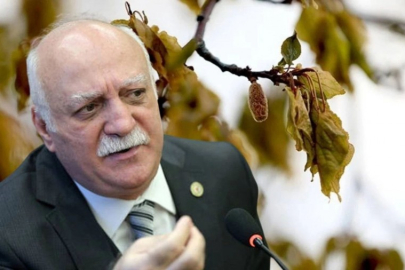 “YAŞANAN ZİRAİ DON, FINDIK FİYATINI ARTIRDI”