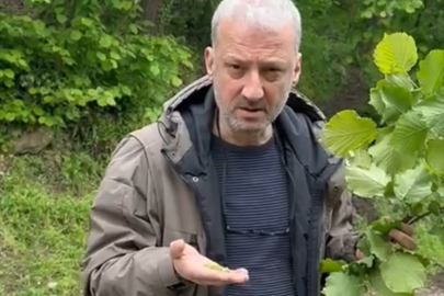 “DALDAKi BiRÇOK ÇOTANAK ÇUVALA GiRMEYECEK”