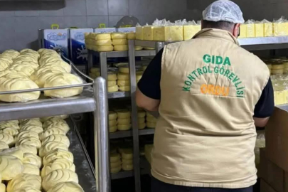 ORDU’DA 50 İŞLETMEYE İDARİ CEZA!