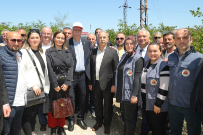 “FINDIK YOKSA HAYAT YOKTUR, GÖÇ VARDIR”