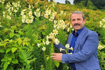 KOPARANA 245 BİN TL CEZA!