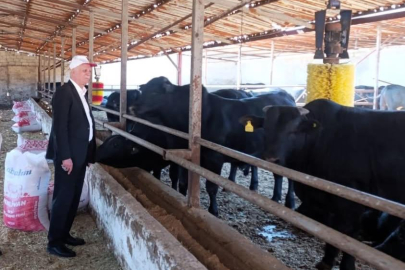 “ŞAP VİRÜSÜ DAHA ÖLÜMCÜL  VE TEHLİKELİ BOYUTTA”