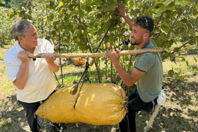 “REKOLTE 350 BİN TON  BİLE ÇIKMAYACAK”