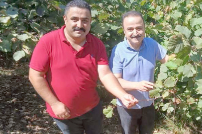 “AÇIKLANAN BU FİYATLA  TMO FINDIK ALAMAZ”