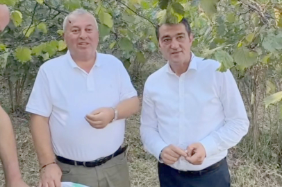 “FINDIK FİYATI 300 TL  OLARAK REVİZE EDİLMELİ”