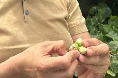 “FINDIĞI UCUZA ALMAK İÇİN HER YOLU DENİYORLAR”