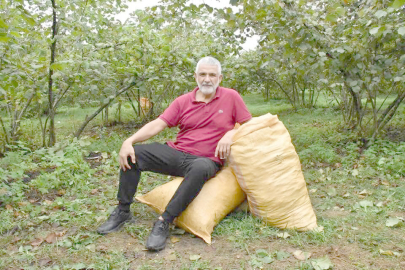 “110 TL’YE FINDIK ALANLAR, 280 TL FİYAT AÇIKLADI”