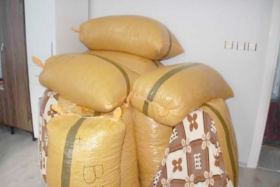 FINDIK 5’İNCİ KATA ÇIKTI!