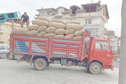 FINDIK YENİDEN UÇUŞA GEÇTİ!