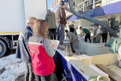 TEKNELERDE HAMSİ DENETİMİ YAPILDI